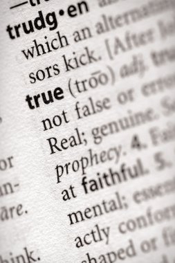 Sözlük serisi - felsefe: doğru