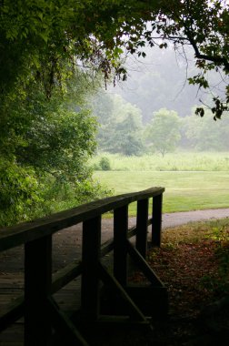 meadow için köprü