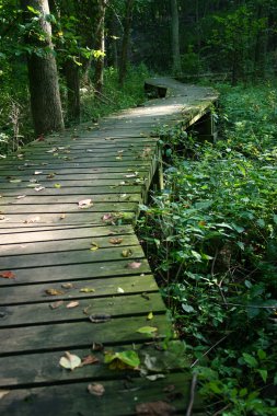 Yolculuk tutkusu hoşgörü