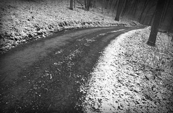 Snowy winter road — Stock Photo, Image