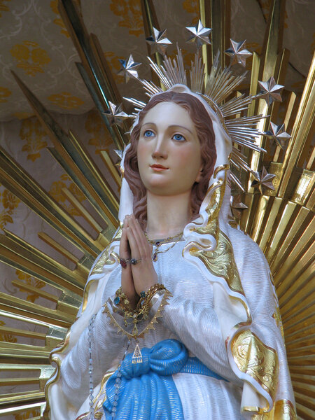 Я - непорочное зачатие
