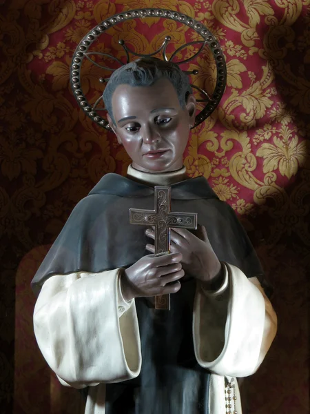 Saint Martin de Porres – stockfoto