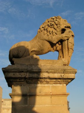 mdina aslan