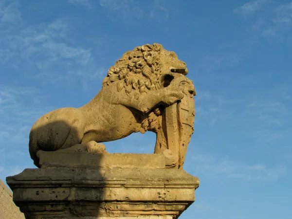 mdina aslan