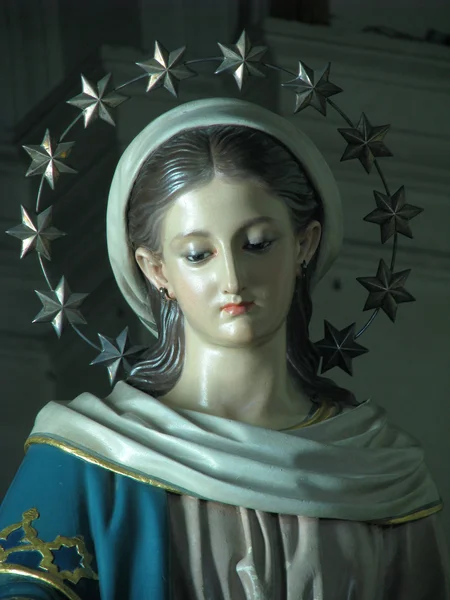 Meidän Lady of Rosary — kuvapankkivalokuva