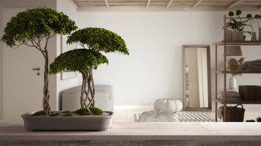 Çakıl taşı ve saksı çiçekli klasik ahşap masa rafı, yeşil çiçekler, modern odanın üzerinde kanepe, cxarpet, puf, modern iç tasarım, zen temiz mimari konsept fikri