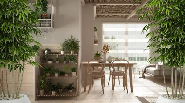 Zen Interior Potted Bamboo Plant Vintage Modern Living Room Sofa — Φωτογραφία Αρχείου