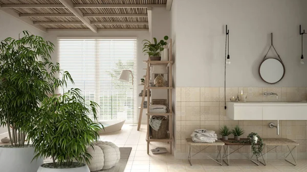 Interni Zen Con Pianta Bambù Vaso Concetto Interior Design Naturale — Foto Stock