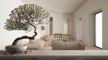 Çakıl taşı ve saksı çiçekli klasik ahşap masa rafı, beyaz çiçekler, modern oturma odasının üzerinde kanepe, modern iç tasarım, zen temiz mimari konsept fikri