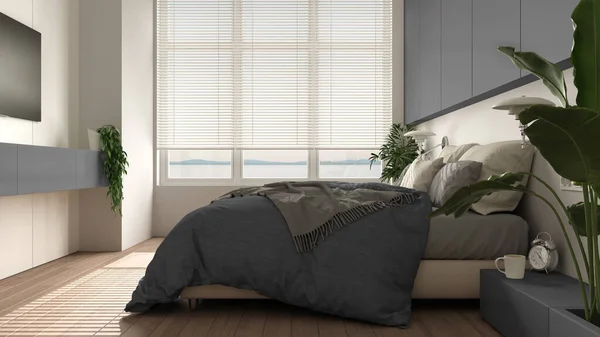Панорамна Біло Сіра Мінімалістична Спальня Паркетом Великим Вікном Домашніми Рослинами — стокове фото