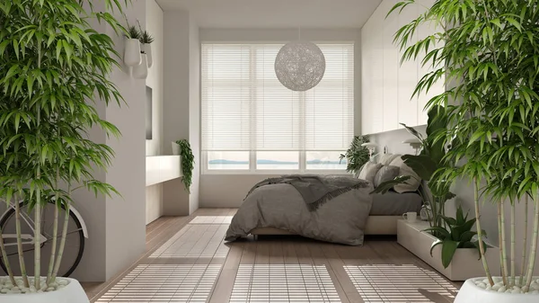 Interior Zen Con Planta Bambú Maceta Concepto Diseño Interior Natural —  Fotos de Stock