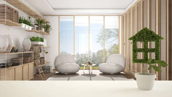 Mesa Blanca Estante Con Planta Verde Maceta Forma Casa Moderno — Foto de Stock