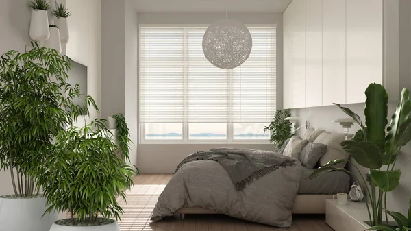 带有盆栽竹子的禅室内设计理念 带有大窗户的现代全景居室 带有枕头和室内植物的双人床 建筑理念 — 图库照片