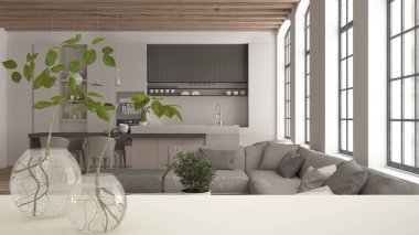 Beyaz masa üstü ya da rafta cam vazo ile hidrofonik bitki, süs, bitki kökü, vazo, ev bitkisi, arka planda modern oturma odası, iç tasarım