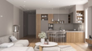 Bulanık arka plan, modern dairede rahat oturma odası ve mutfak masalı kadife kanepe, adalı mutfak ve yemek masası, sandalyeler. Halı ve cihazlar, iç tasarım fikri.