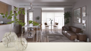 Beyaz masa üstü ya da rafta cam vazo ile hidrofonik bitki, süs, bitki kökü, vazo, ev bitkisi, arka planda modern oturma odası, iç tasarım