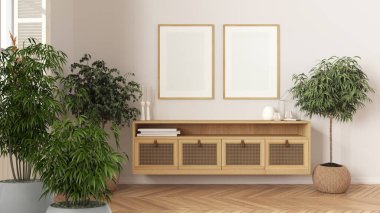 Zen iç mimarisi saksı bambu bitkisi, doğal iç tasarım konsepti, rattan mobilyaları, bitkileri ve dekorları olan çağdaş oturma odası, modern beyaz minimalist mimari