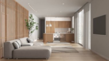 Arka plan bulanık, evcil hayvan dostu oturma odası kanepe ve mutfak. Evcil hayvanlara ayrılmış bir yer, mobilyaların içindeki köpek yatağı. Halı, perdeli büyük pencereler, parke. İç tasarım fikri