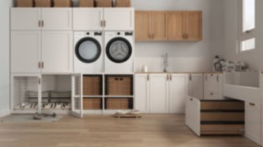 Blur background,space devoted to pet, pet friendly laundry room with appliances and dog bath shower with ladder inside a drawer. Dog bed with gate. Modern interior design concept idea