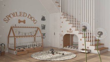 Tohum salgılayan tüylü karahindiba. Sıcak köpek odasına sporlar saçıyor. Evcil hayvanlara ayrılmış bir alan. İç tasarım fikri. Değişim, büyüme, hareket ve özgürlük kavramı