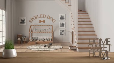 Ahşap masa, masa ya da rafta saksı bitkisi, ev anahtarı ve 3D harfler var. Evim güzel evim, ahşap hayvan dostu köpek odası, mimari iç tasarım, kopya alanı arka planı.