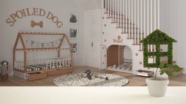Beyaz masa üstü ya da rafta ev şeklinde yeşil bitki, köpek yatağı arka planlı hayvan dostu köpek odası, iç tasarım, gayrimenkul, çevre mimarisi fikri