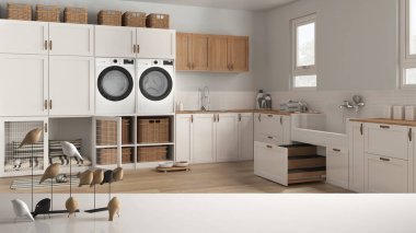 Beyaz masa üstü veya rafta minimalist kuş süsü, kuş süsü - köpek yatağı ve köpek banyosu banyosu, parke döşemesi, modern iç tasarım