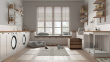 Bulanık arka plan, evcil hayvan dostu modern çamaşır odası, dolaplı ve teçhizatlı çamur odası. Merdivenli köpek banyosu, köpek yatağı ve halı, banklı pencere. İç tasarım kavramı