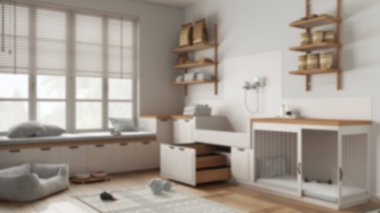 Bulanık arka plan, evcil hayvan dostu İskandinav çamur odası, çamaşır odası, merdivenli köpek banyosu, köpek yatağı ve halısı olan yer, kase, bank ile pencere. İç tasarım kavramı