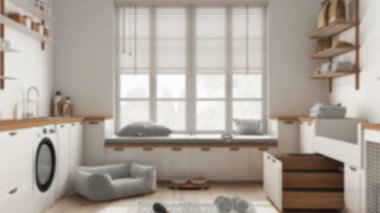 Bulanık arka plan, evcil hayvanlara ayrılmış alan, İskandinav çamaşır odası, pencereli ve kanepeli oda, köpek yatağı, merdivenli köpek banyosu, aksesuarlar, yiyecekli raflar. İç tasarım