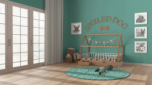 Dog room interior design, modern space devoted to pets in turquoise and wooden tones. Big window with curtain and parquet floor, cozy dog bed with pillows, frames, carpet with toys