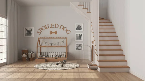 Modern Space Devoted Pets White Wooden Tones Dog Room Interior — Fotografia de Stock