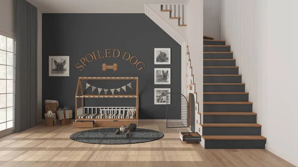 Modern Space Devoted Pets Gray Wooden Tones Dog Room Interior — Fotografia de Stock