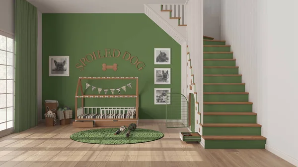 Modern Space Devoted Pets Green Wooden Tones Dog Room Interior — Φωτογραφία Αρχείου