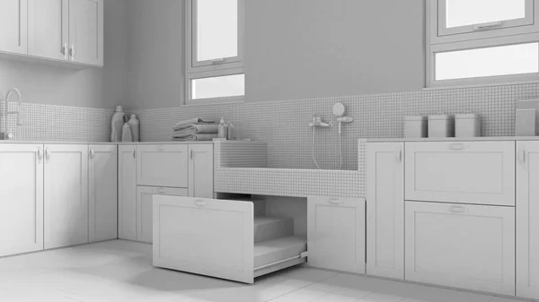 Totaler Weißer Projektskizze Innenarchitektur Des Schlammzimmers Haustierfreundliche Waschküche Mit Hundedusche — Stockfoto