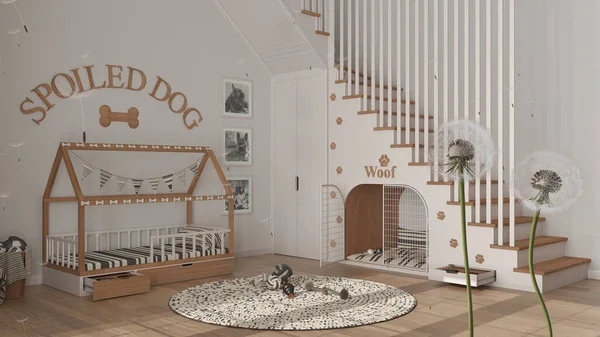 Tohum salgılayan tüylü karahindiba. Sıcak köpek odasına sporlar saçıyor. Evcil hayvanlara ayrılmış bir alan. İç tasarım fikri. Değişim, büyüme, hareket ve özgürlük kavramı