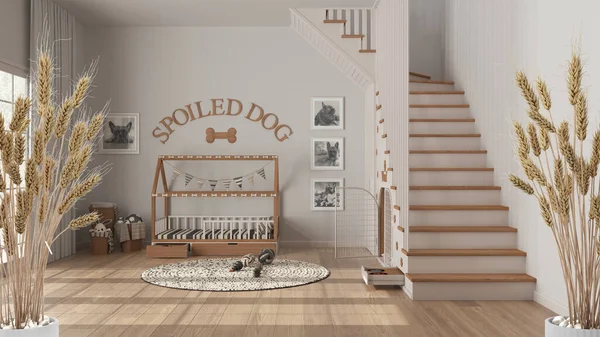 Çakıl taşları, kuru bitkiler, süs, kulaklar, kılıf, vazoda dalları, köpek yatağı ve merdivenli hayvan dostu köpek odası, modern iç tasarım