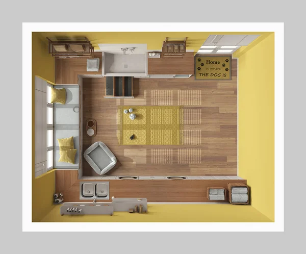 Комната Домашнего Животного Современная Желтая Деревянная Мусорная Шкафами Стеллажами Оборудованием — стоковое фото