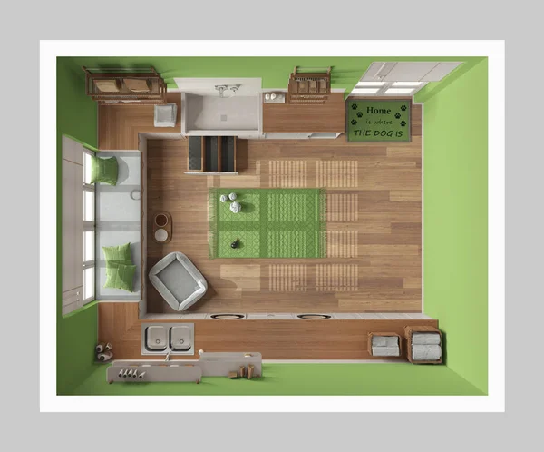 Pet friendly modern green and wooden laundry room, mudroom with cabinets, shelves and equipment. Dog shower bath with ladder, dog bed, carpet. Top view, plan, above. Interior design