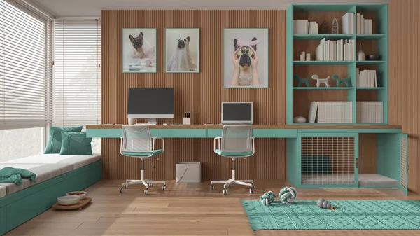 Oficina Esquina Turquesa Madera Apta Para Mascotas Escritorio Con Computadoras — Foto de Stock