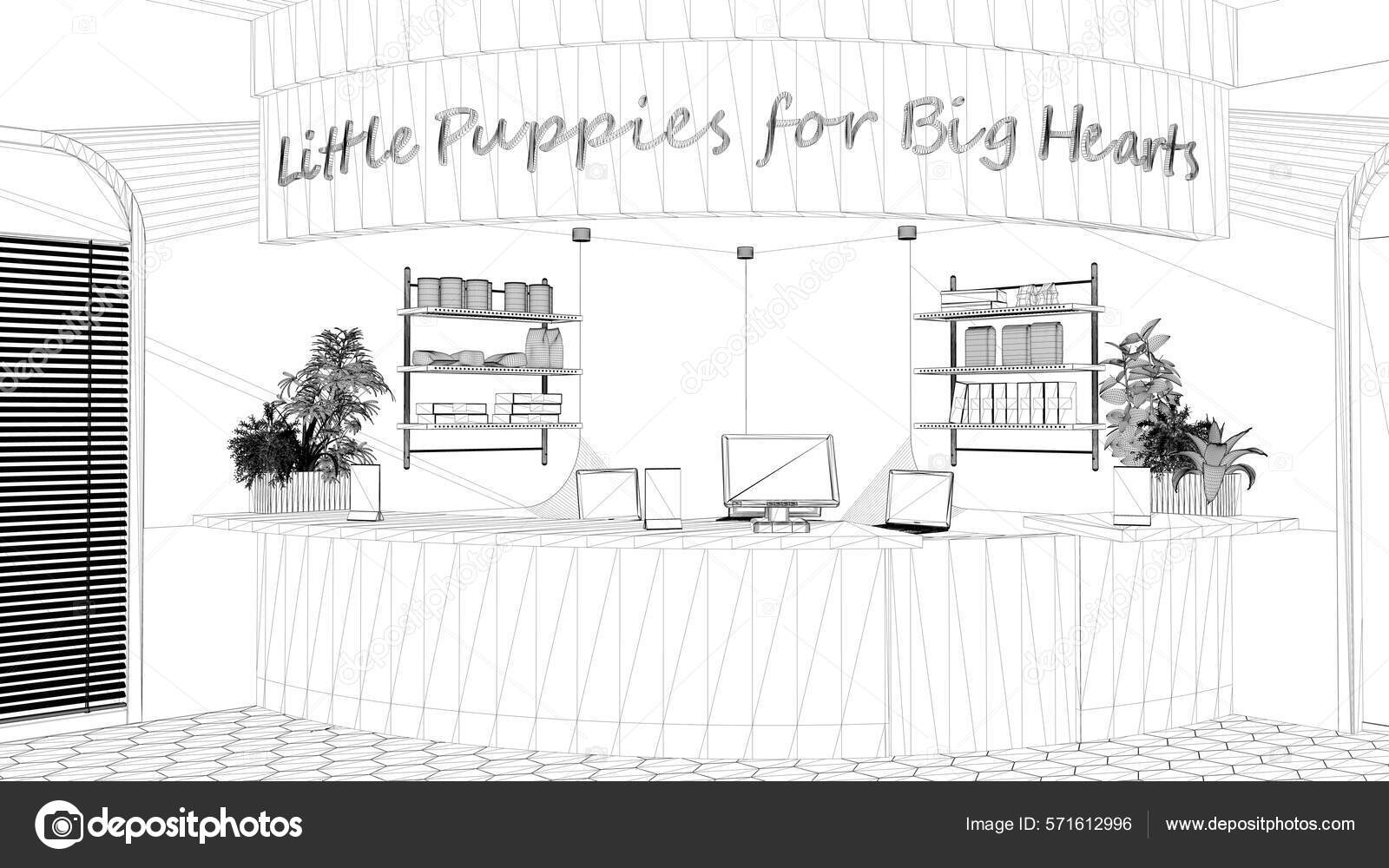 Blueprint Project Draft Veterinary Clinic Reception Desk Shelves