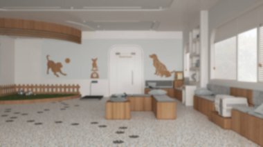 Bulanık arka plan, veteriner kliniği iç tasarım. Bekleme odasında sıralar ve yastıklarla, çimenlerle ve kedilerle oyuncaklarla bahçeyle oynamak, evcil hayvan ağırlığı terazisi