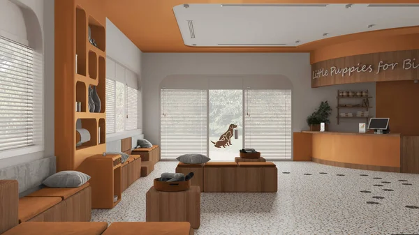 Veterinary hospital waiting room in orange and wooden tones. Sitting room with benches and pillows and reception desk. Bookshelf with pet food and water cooler. Interior design idea