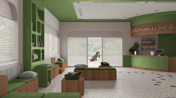 Veterinary hospital waiting room in green and wooden tones. Sitting room with benches and pillows and reception desk. Bookshelf with pet food and water cooler. Interior design concept