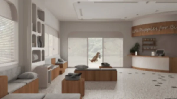 Blur background, veterinary hospital waiting room. Sitting room with benches and pillows and reception desk. Bookshelf with pet food and water cooler. Interior design concept idea