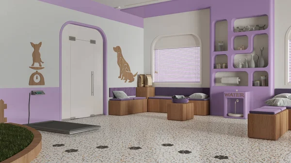 Veterinary clinic waiting room in purple and wooden tones. Sitting area with benches, bookshelf, water cooler and weight scale. Play garden with grass for pets, interior design idea