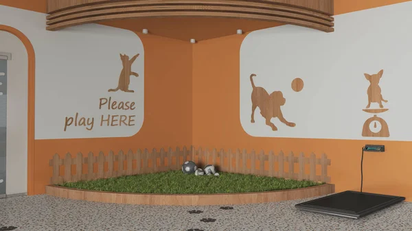 Állatorvosi Klinika Játszani Kert Kutyák Macskák Narancs Tónusok Zöld Golyókkal — Stock Fotó