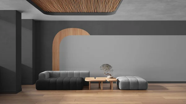 회색의우아 현대식 소파와 주머니 나무로 의자와 지팡이 현대의 인테리어 디자인 — 스톡 사진