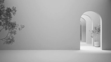 Tamamen beyaz proje taslağı, klasik metafizik gerçeküstü iç tasarım, reçine zeminli boş boşluk, sıva, alçı, alışılmadık mimari, proje fikri, kopyalama alanı
