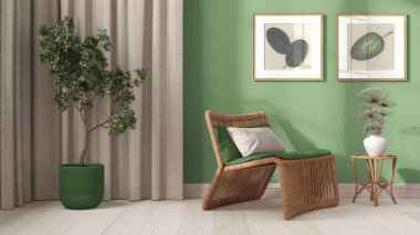 Beyaz ve yeşil tonlarda modern oturma odası. Kapatın. Yastıklı, perdeli, resimli ve saksılı Rattan koltuğu. Parke zemin ve alçı duvarlar. Retro iç tasarım